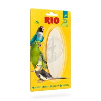 rio_seeL